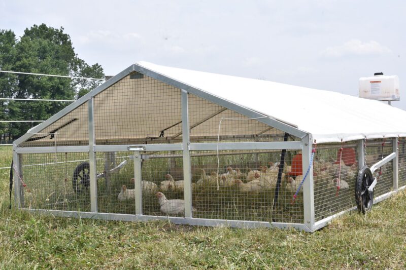 9x24 broiler coop for sale