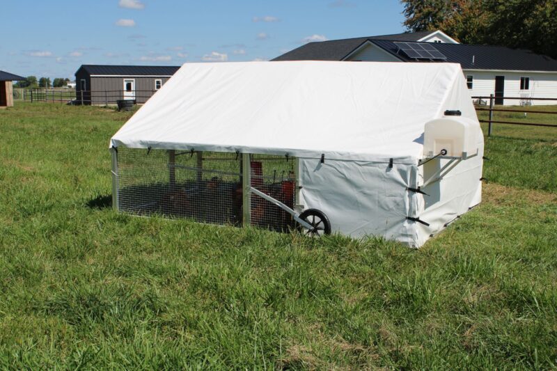 chicken coop water system 5