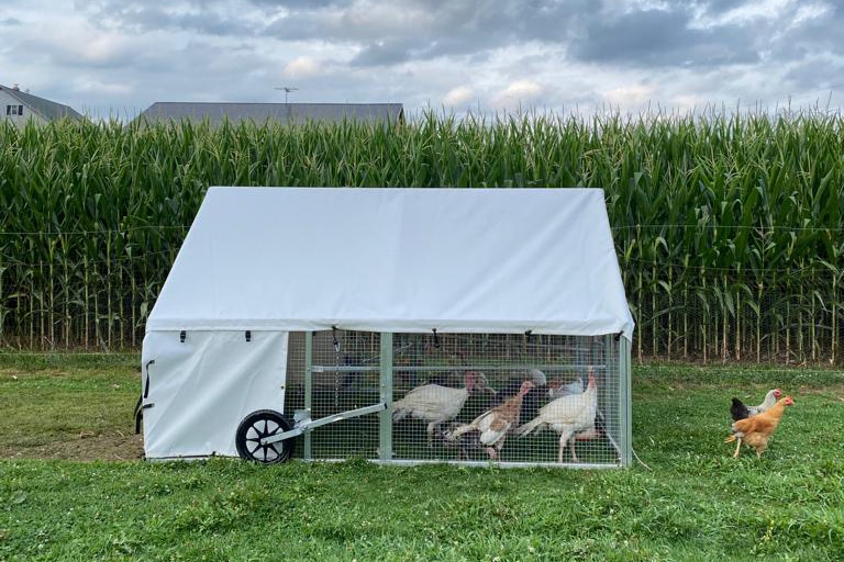 turkey coops on wheels